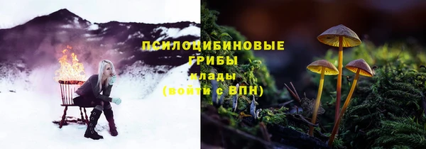 винт Карпинск