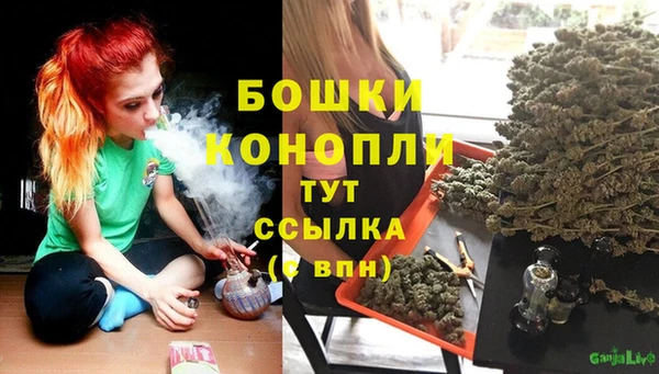 мдпв Касимов