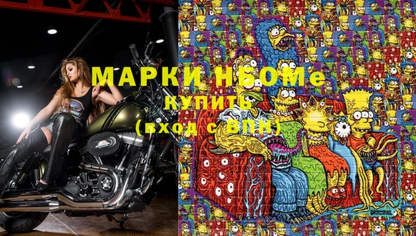 мдпв Касимов
