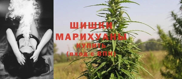 мдпв Касимов