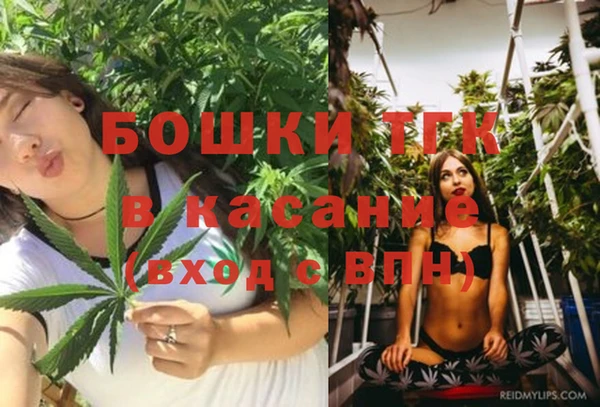 винт Карпинск