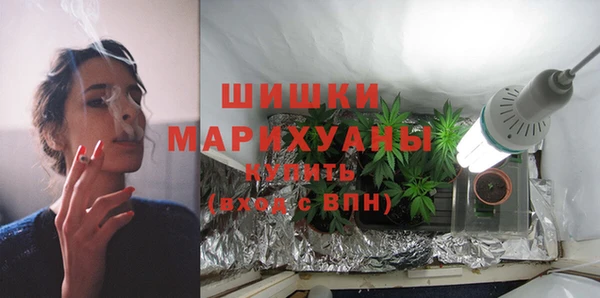 мдпв Касимов