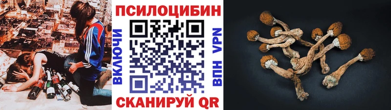 Купить где  Ханты-Мансийск  Псилоцибиновые грибы GOLDEN TEACHER 